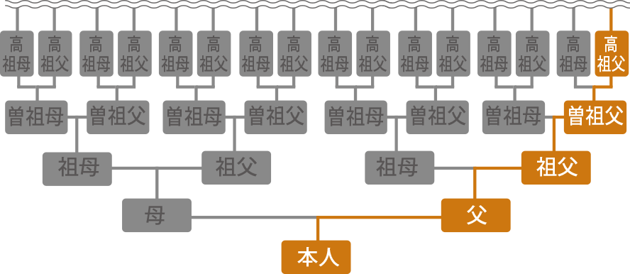 家系図作成サービス 永遠 とわ 家系図 ハッピーメモリーズ 家系図作成サービス 永遠 とわ 家系図 ハッピーメモリーズ