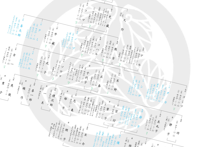 すっきり見やすい家系図に