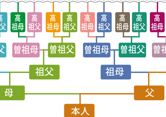 家系図の作り方は？作り方のポイントを押さえよう